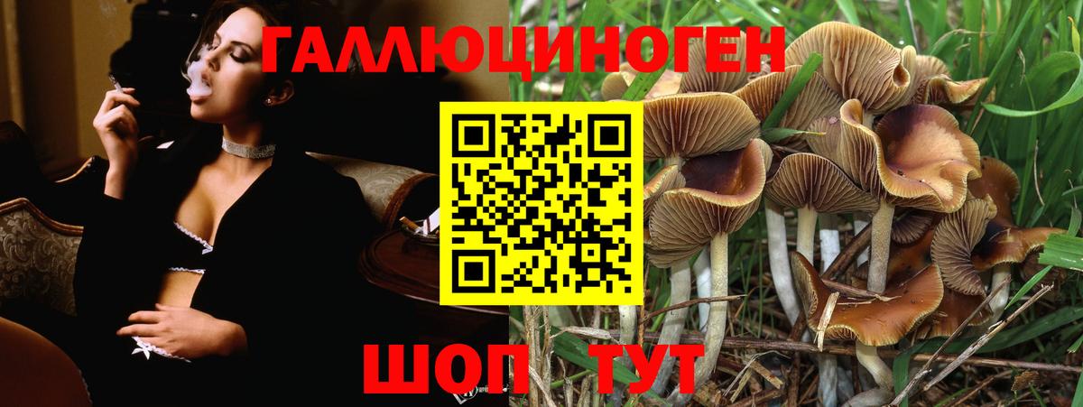наркошоп  Галлюциногенные грибы GOLDEN TEACHER  Вход с VPN  Ливны 